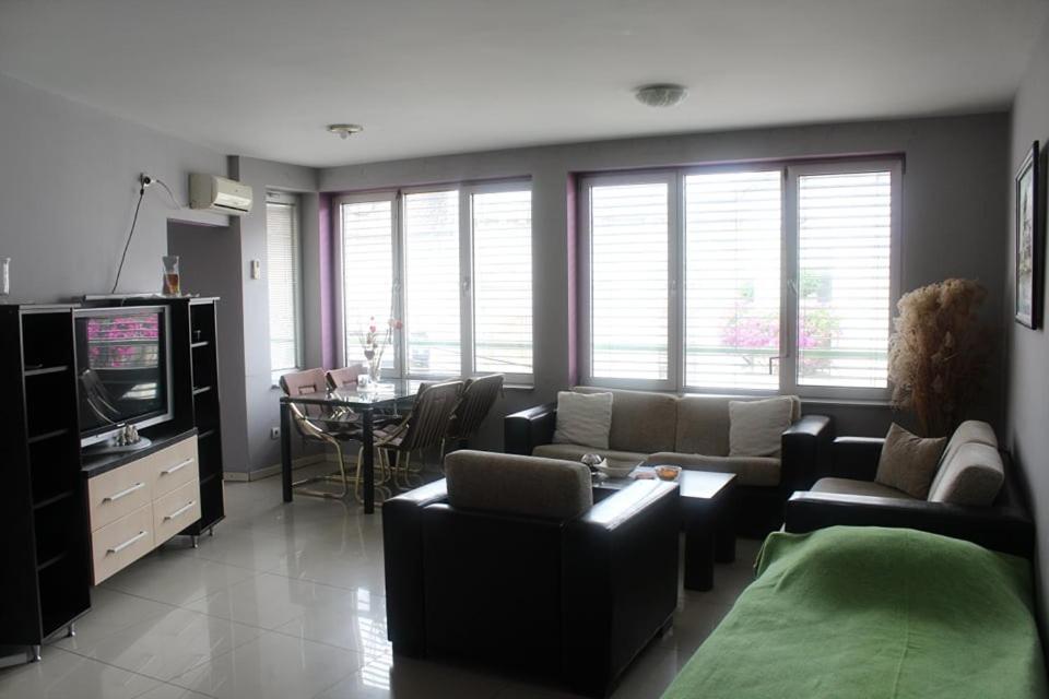 Apartman Natasa 1 Vrsac Exteriör bild
