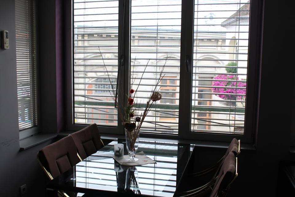 Apartman Natasa 1 Vrsac Exteriör bild